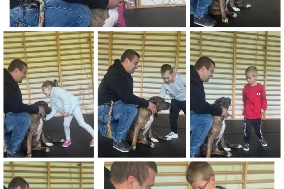 Tajniki pracy z czworonogami