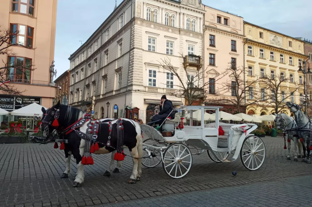 Wycieczka do Krakowa