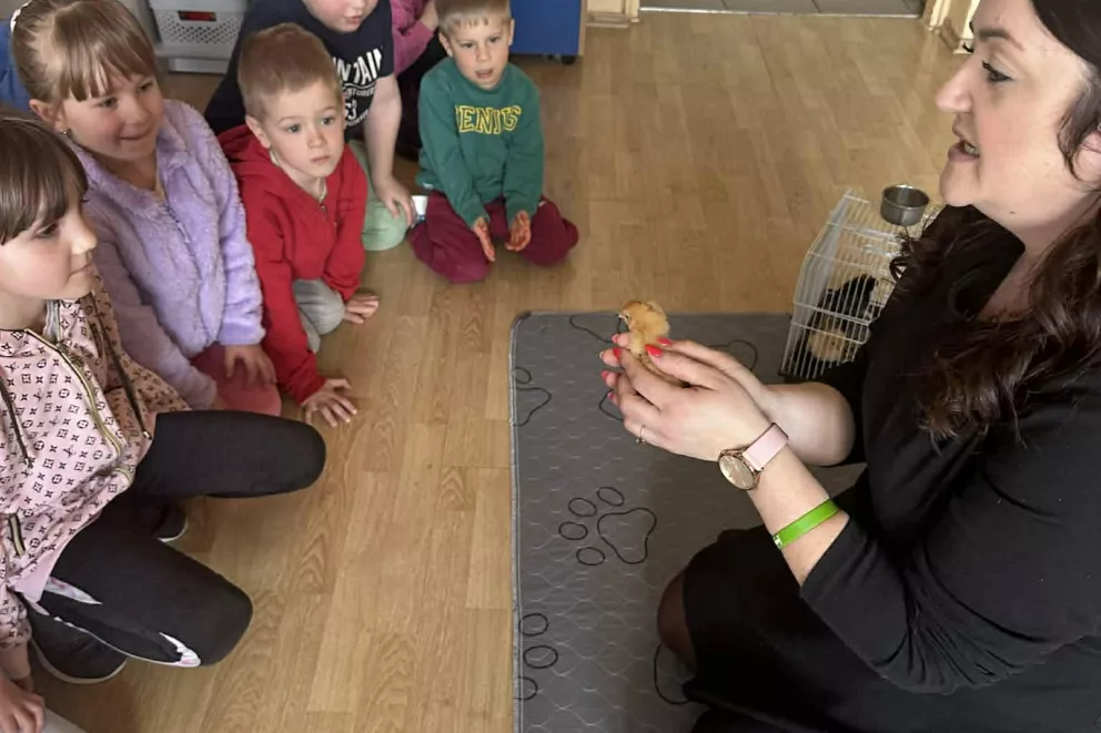 Kurka podróżniczka i przyjaciele