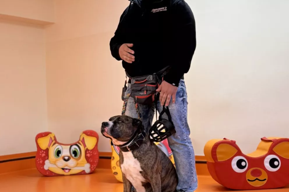 W październiku przedszkolaki obchodzą Dzień Zwierząt.