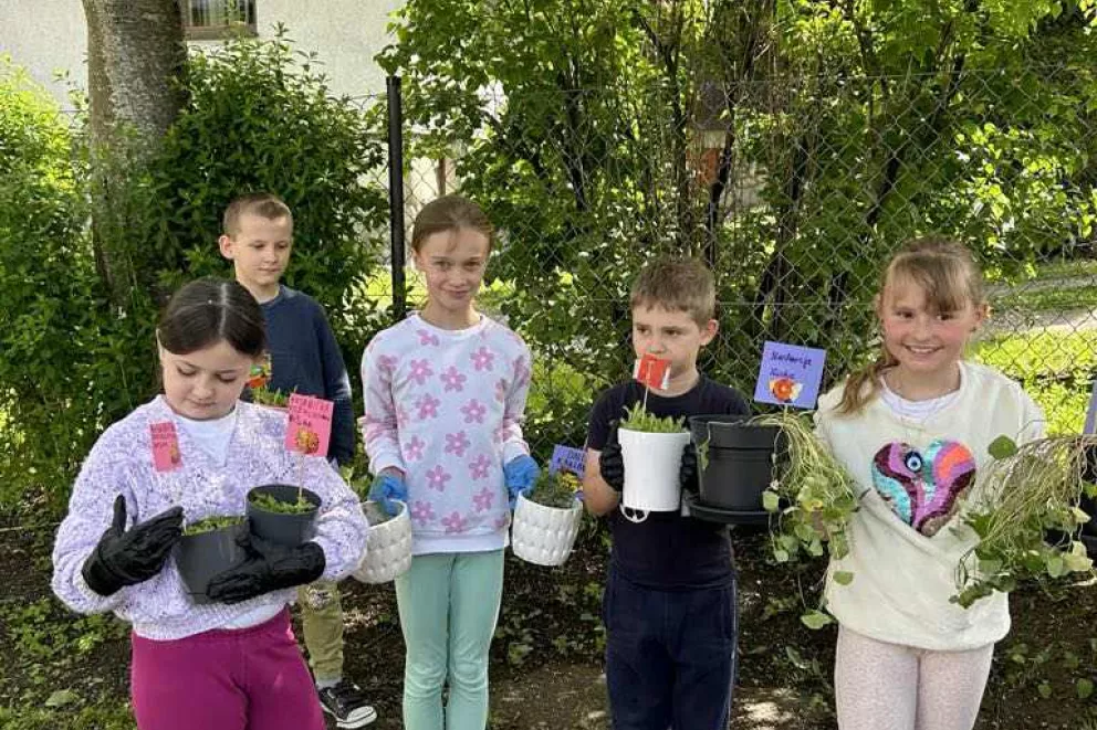 Upiększamy teren wokół szkoły